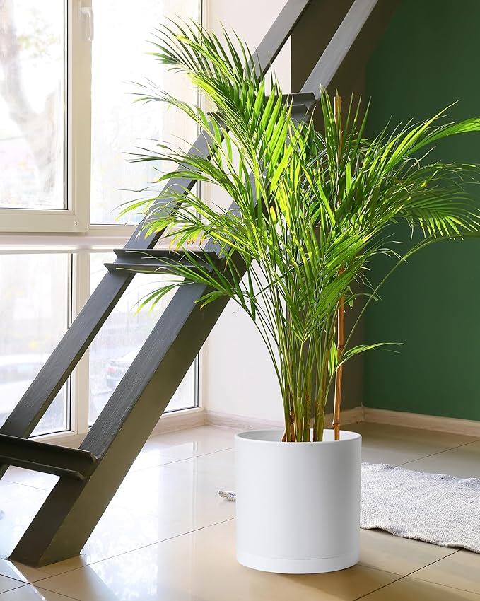 D'vine Dev 2 Pack 12 Inch Modern Plastic Plant Pots, Small Garden Planters for Plant with Drainage Holes and Saucers, White Color, 74-Z-P-1