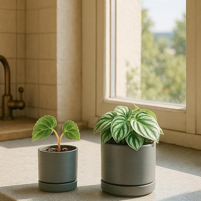 D'vine Dev 3.5 Inch & 4.7 Inch Ceramic Planter Pots for Plants with Drainage Hole and Saucer, X-Small Plant Pots Set, Speckled Grey, 94-G-XS-3