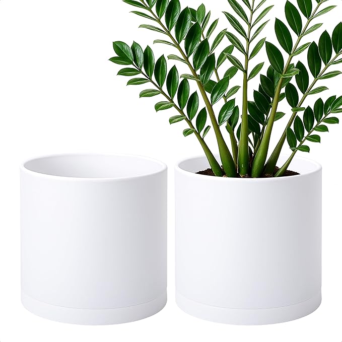 D'vine Dev 2 Pack 10 Inch Modern Plastic Plant Pots, Small Garden Planters for Plant with Drainage Holes and Saucers, White Color, 74-Z-N-1