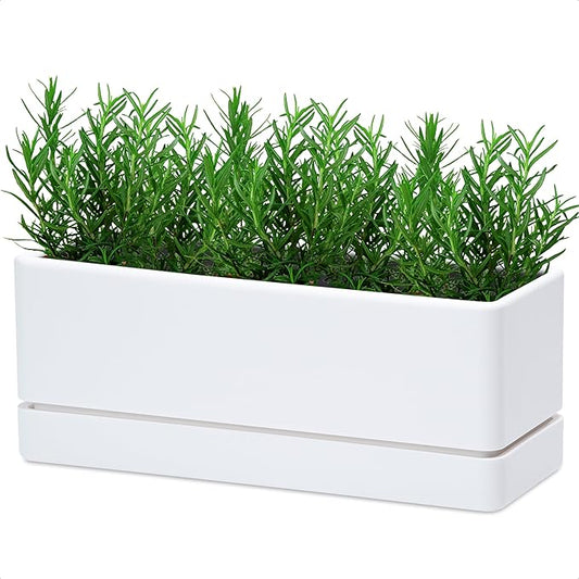 D'vine Dev 12 Inch Window Box Planter, Rectangle Plastic Herb Planter with Drainage Holes and Saucer, Indoor Succulent Cactus Vegetable Pot for Windowsill, Garden Balcony, White, Set of 1, 76-X-A-1