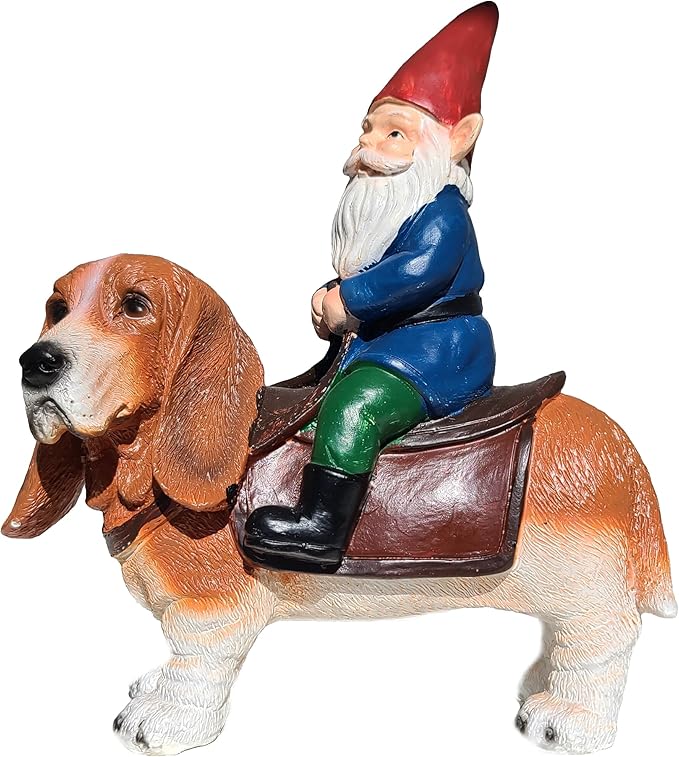 Funny Guy Mugs Gnome Riding A Basset Hound - Funny Garden Gnomes Gifts for Women - Garden Gnomes for Outdoors - Gifts for Dog Lovers - Indoor/Outdoor Garden Gnome Sculpture for Patio, Yard or Lawn