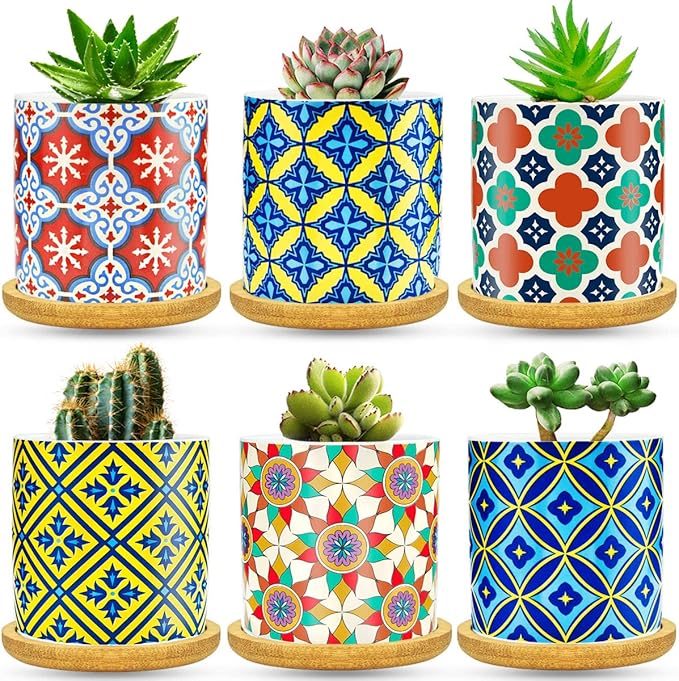 6 Pack Succulent Pots with Drainage Hole, 3 inch Ceramic Succulent Planter with Bamboo Tray, Bright Color Succulent Plant Pots for Cacti Succulent Soil Potting Mix Indoor/Outdoor