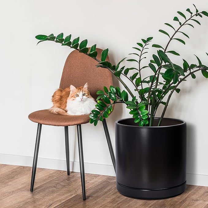 D'vine Dev 14 Inch Ceramic Planter Pot with Drainage Hole and Saucer, Indoor Cylinder Round Planter Pot, Black, 94-O-G-2