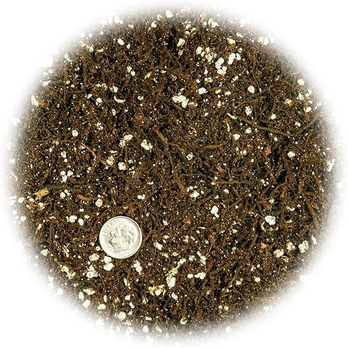 Fern + Perlite Soil Mix for Repotting and Planting Succulents and Cactuses - 4 Quart Bag