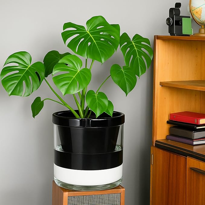 D'vine Dev 10 Inch Design Self Watering Planter for Indoor Plants, Black Terracotta Pot with Cylinder Glass Cup, 37-X-D-3