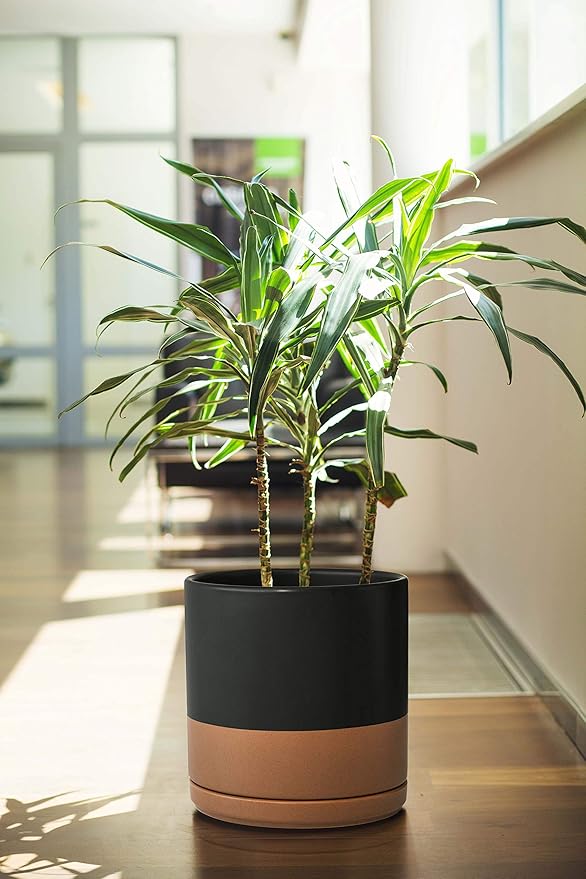 D'vine Dev 10 Inch, Ceramic Planter Pot with Drainage Hole and Saucer, Indoor Cylinder Round Planter Pot, Black/Speckled Tan, 94-O-E-7