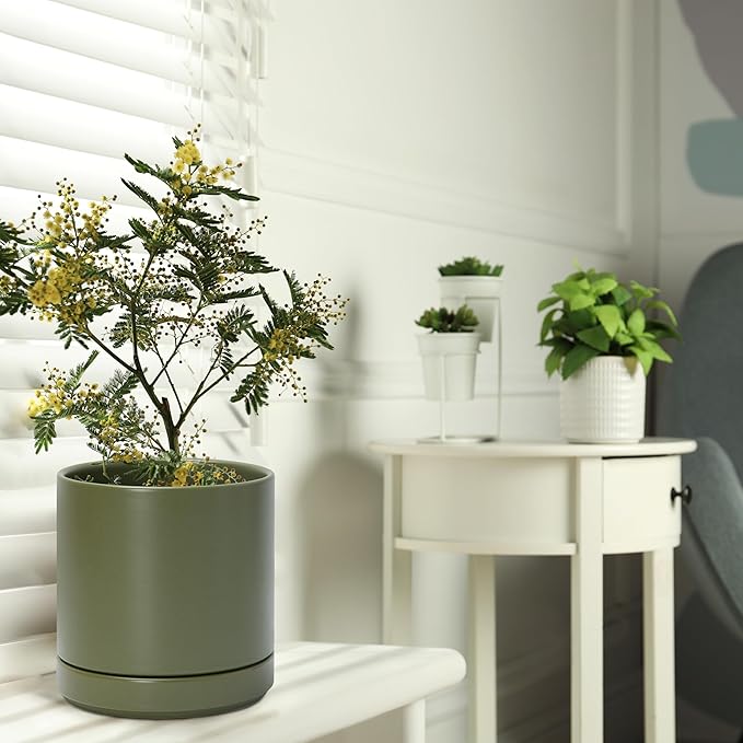 D'vine Dev Set of 2 Plants Pots, 6.5 Inch Ceramic Planter Pot for Plants with Drainage Hole and Saucer, Olive, 94-V-C-J