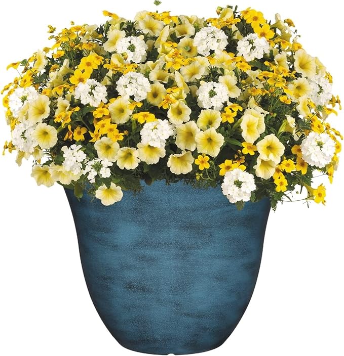 Classic Home and Garden Honeysuckle Resin Flower Pot Planter, Blue Jean, 13"