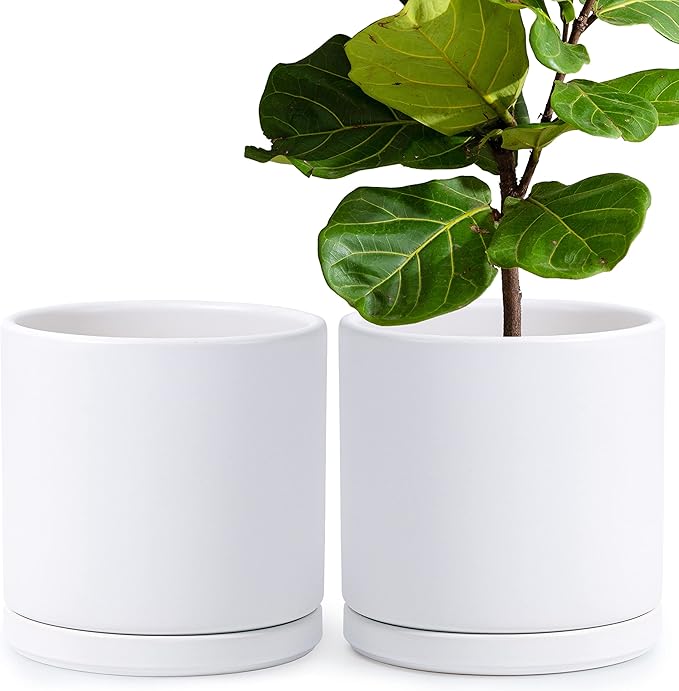 D'vine Dev Set of 2 Plants Pots, 10 Inch Ceramic Planter Pot for Plants with Drainage Hole and Saucer, White, 94-V-E-1