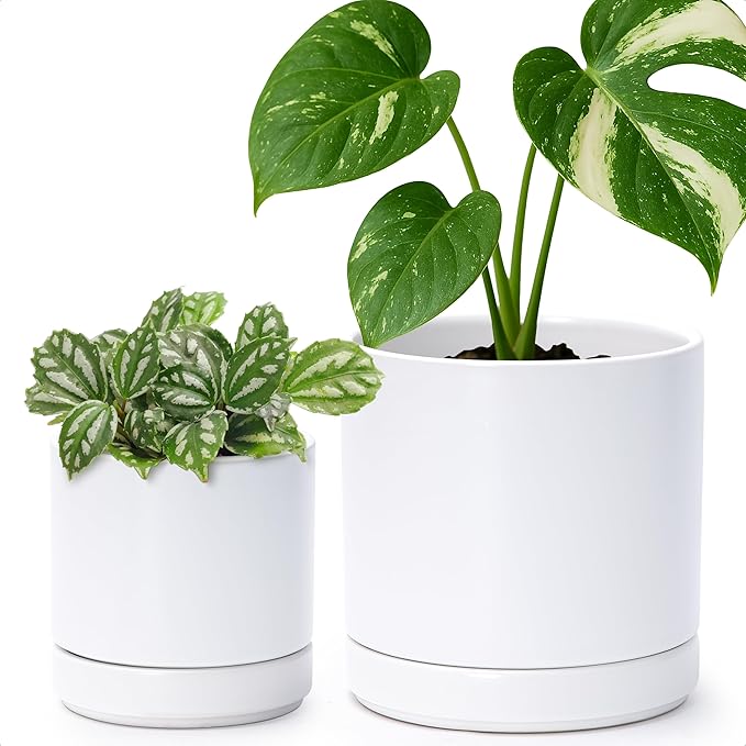 D'vine Dev 4.7 Inch & 6 Inch Ceramic Planter Pots for Plants with Drainage Hole and Saucer, Small Plant Pots Set, White, 94-G-S-1