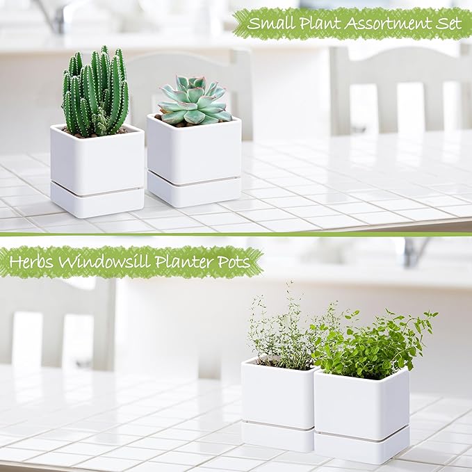 4 Inch Herb Planter Pot, Plastic Planter with Drainage Holes and Saucer, Modern Decorative Gardening Pot for Indoor Plants, Flowers, Herbs, Succulents, White, Set of 2, 76-Y-A-2