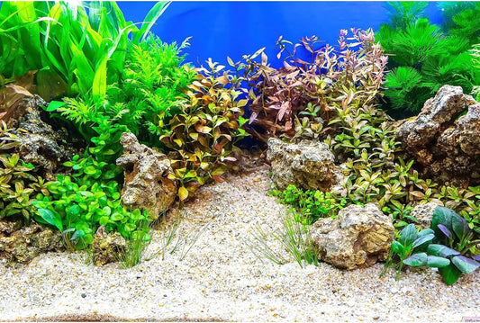 Fish Tank Background Underwater Grass Leaves with Pebble Aquarium Background Vivid Green Aquatic Plant Stone River Bed Terrarium Background Underwater Fish Tank Background 30x12in