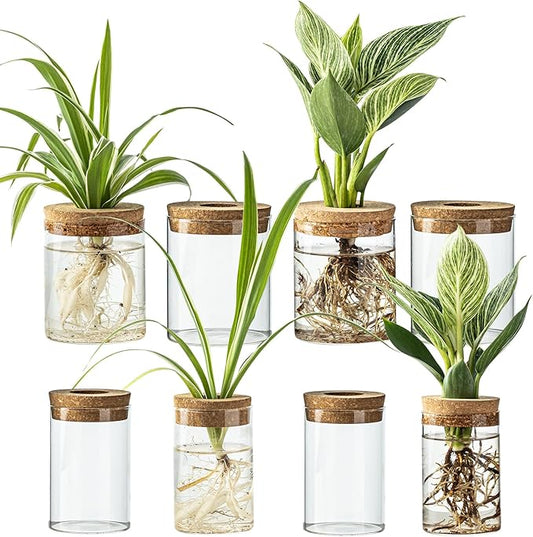 Glass Plant Propagation Stations for Plants – Set of 4(4 Large & 4 Small) Hydroponic Vases for Plant Cuttings,Flower Arrangements, Home & Office Decor–Desktop Vases for Living Room, Bedroom (8)