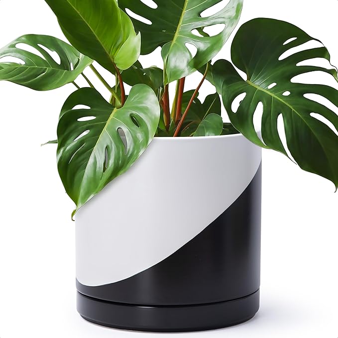 D'vine Dev 12 Inch Ceramic Planter Pot with Drainage Hole and Saucer, Indoor Cylinder Round Planter Pot, Oblique Monochrome Black and White, 94-O-F-K