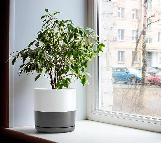 D'vine Dev 10 Inch Ceramic Planter Pot with Drainage Hole and Saucer, Indoor Cylinder Round Planter Pot, White/Speckled Grey, 94-O-E-6