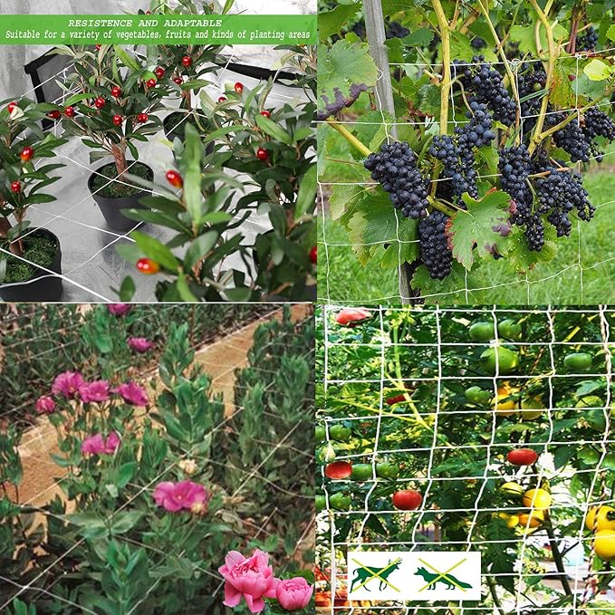 All-Weather Trellis Netting Mesh Plant Garden Vine Growing Flexible String Net (3.5" Mesh ployester, 5' Wx 30'L)