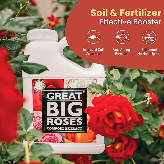 Great Big Roses – Soil and Rose Fertilizer Booster to Grow The Best Roses and Flowers; Rose Food Compost Extract for Rose Bush, 32 Ounce Concentrate (Makes 8 Gallons)