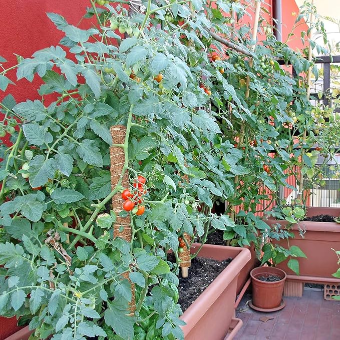 EAONE Moss Pole 96 Inch, 6 Pack 16" Monstera Plant Support for Climbing Potted Live Plants Indoor, Stackable Coco Coir Moss Sticks Monstera Stakes for Pothos Philodendron, with Garden Labels & Ties