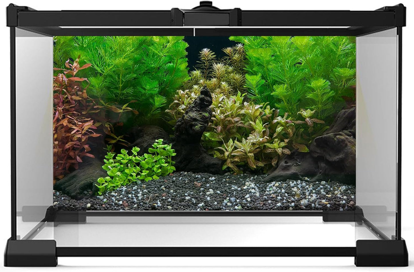 Aquarium Background Exquisite Underwater Grass Leaves with Pebbles Aquarium Backdrop Vivid Green Aquatic Plant Stone with Dead Woods and Fresh Leaves Fish Tank Wallpaper 30x18in
