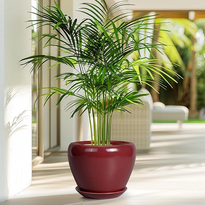 Ceramic Planter - 8 Inch Plant Pot Indoor with Drainage Hole and Saucer Planter for Outdoor Plants Round Flower Pot for House Patio Decor Red