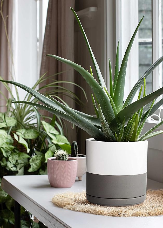 D'vine Dev 6 Inch & 8 Inch Ceramic Planter Pots for Plants with Drainage Hole and Saucer, Medium Plant Pots Set, White/Speckled Grey, 94-G-M-6