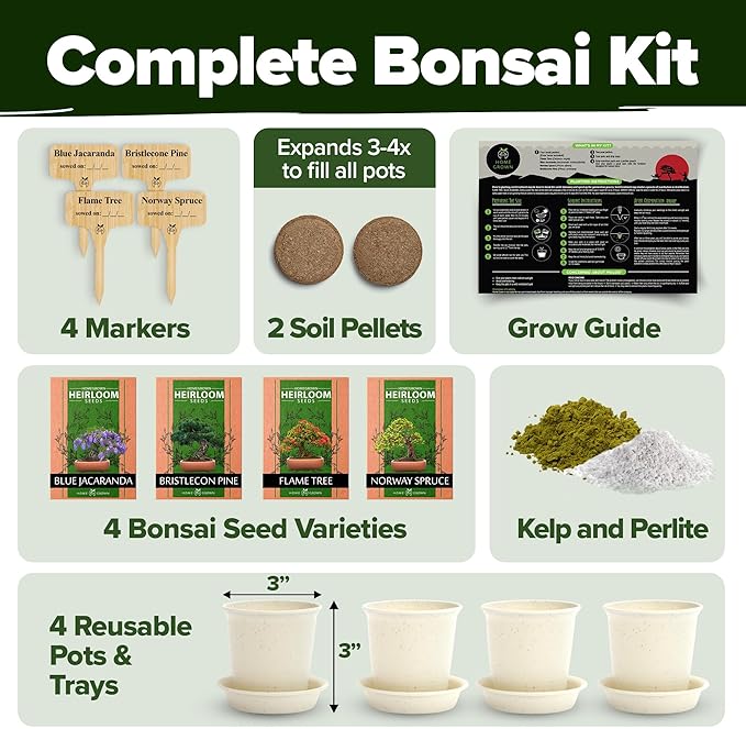 Bonsai Tree Kit - Gifts for Men & Women - Grow 4 Bonsai Trees - Unique Gardening Crafts for Adults, DIY Hobbies for Plant Lovers & Gardeners - Unusual Christmas Gift Ideas for Mom & Dad
