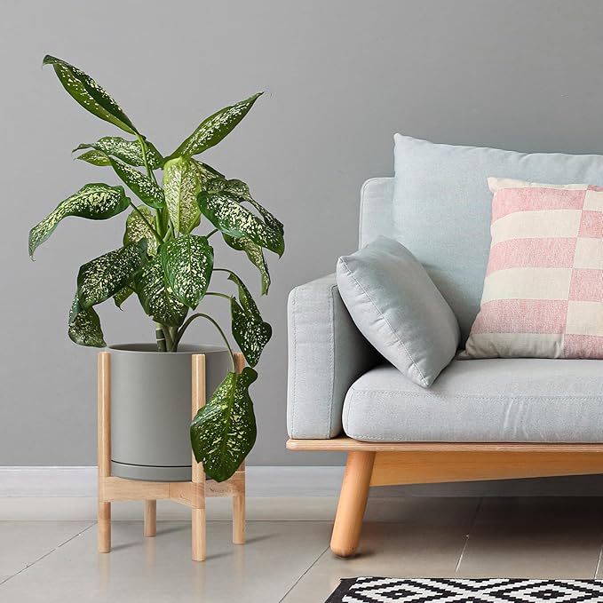 D'vine Dev Ceramic Planter with Natural Stand - 10 Inch Modern Round Flower Pot with Wood Planter Holder, Grey, 55-B-K-3