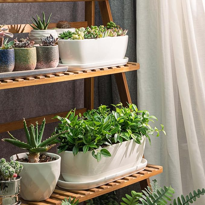 Ceramic Plant Pots, 11+14 inch, Set of 2, Planters with Drainage Holes Saucers and Mesh Pads, Indoor Flower Succulent Pot with Hole Mesh Pad, Gifts for Mom, Plants Not Included