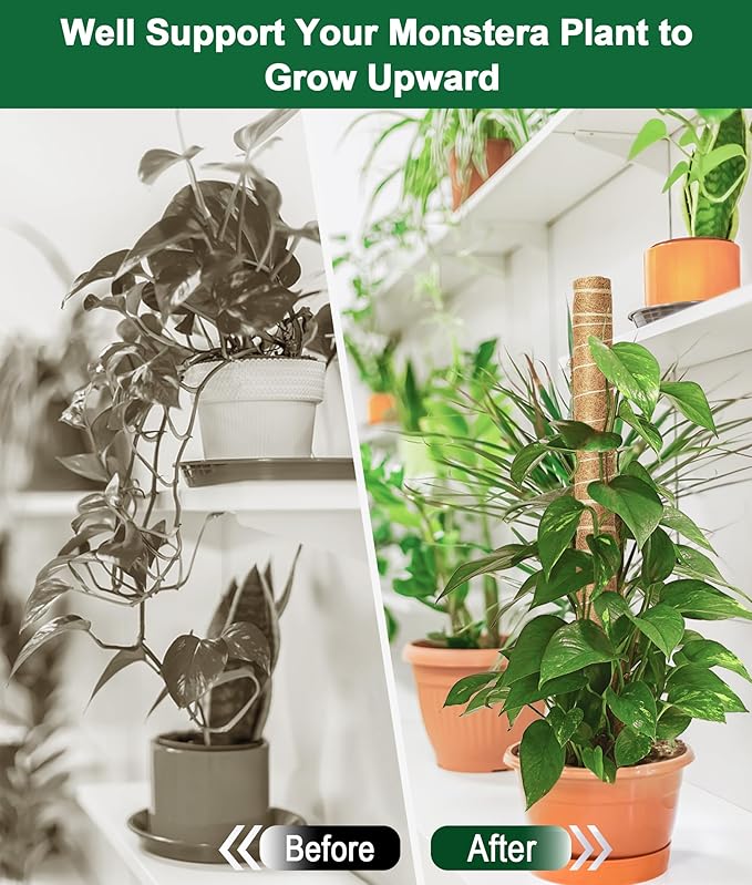 EAONE Moss Pole 168 Inch, 8 Pack 21" Monstera Plant Support for Climbing Potted Live Plants Indoor, Stackable Coco Coir Moss Sticks Monstera Stakes for Pothos Philodendron, with Garden Labels & Ties