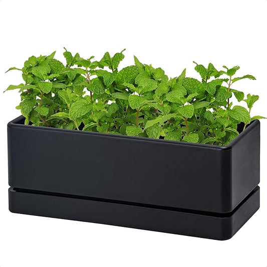 D'vine Dev 12 Inch Window Box Planter, Rectangle Plastic Herb Planter with Drainage Holes and Saucer, Indoor Succulent Cactus Vegetable Pot for Windowsill, Garden Balcony, Black, Set of 1, 76-X-B-1