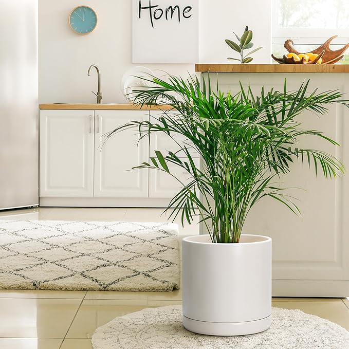 D'vine Dev 12 Inch Ceramic Planter Pot with Drainage Hole and Saucer, Indoor Cylinder Round Planter Pot, Oatmeal, 94-O-F-8