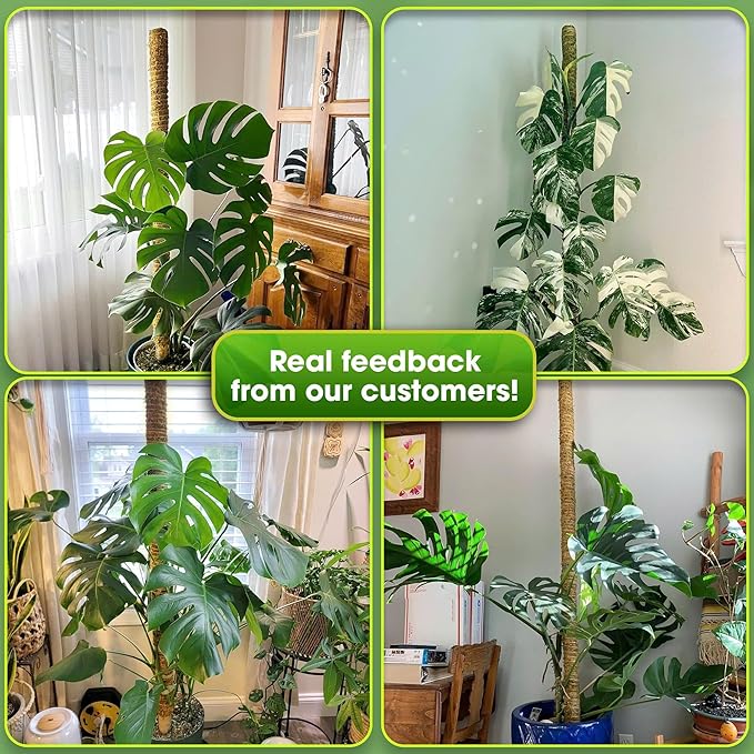 DUSPRO 59 Inches Non-Bendable Pole for Big Plants, Large Moss Pole for Plants Monstera, Plant Stakes for Indoor Plants, Monstera Plant Support, Plant Pole for Big Climbing Plants Indoor (1pc., 59'')
