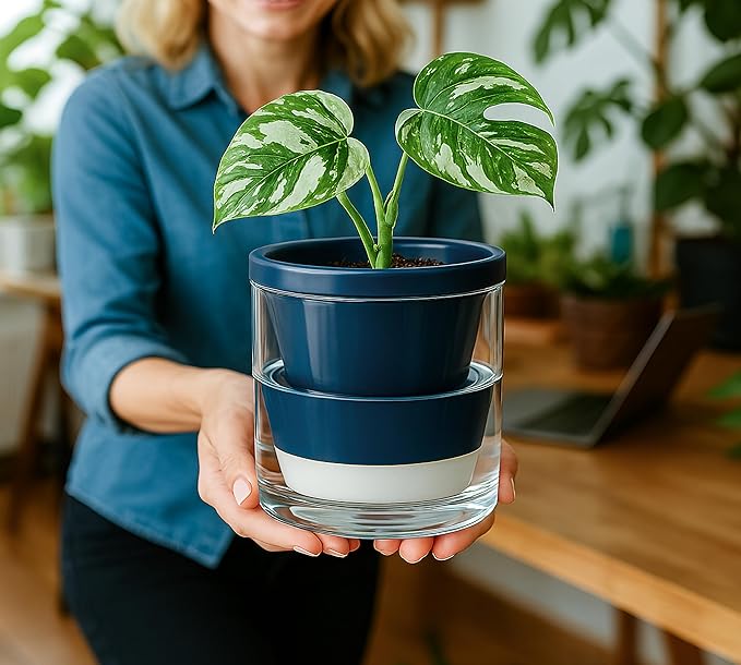 D'vine Dev 4 Inch Design Self Watering Planter for Indoor Plants, Blue Terracotta Pot with Cylinder Glass Cup, 37-X-A-4