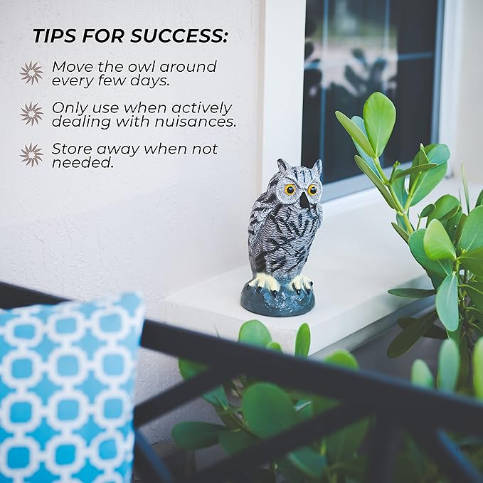 Galashield Owl Decoy to Scare Birds Away | Plastic Owls to Scare Birds Away | Owl Statue for Garden & Outdoors