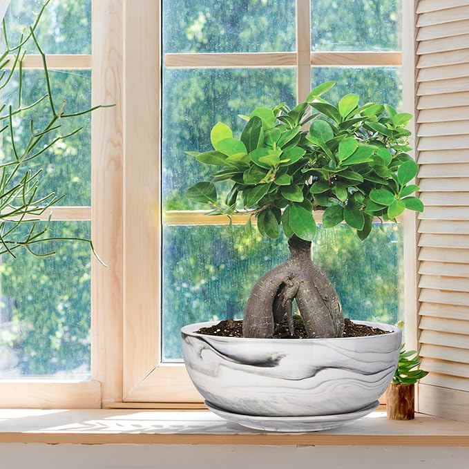 G EPGardening 10Inch Large Planter Pot Marble Pattern Ceramic Succulent Planter Big Plant Pot Succulents Container Flower Pot Indoor Outdoor Decor