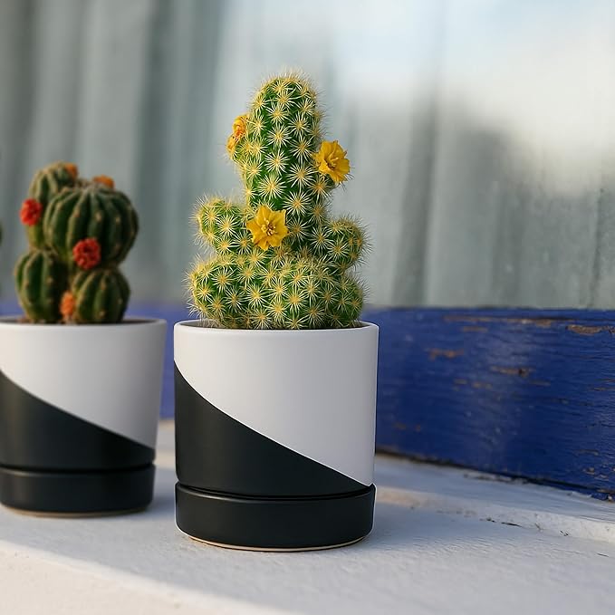 D'vine Dev 3.5 Inch Ceramic Planter Pot with Drainage Hole and Saucer, Indoor Cylinder Round Planter Pot, Oblique Monochrome Black and White, 94-O-A-K