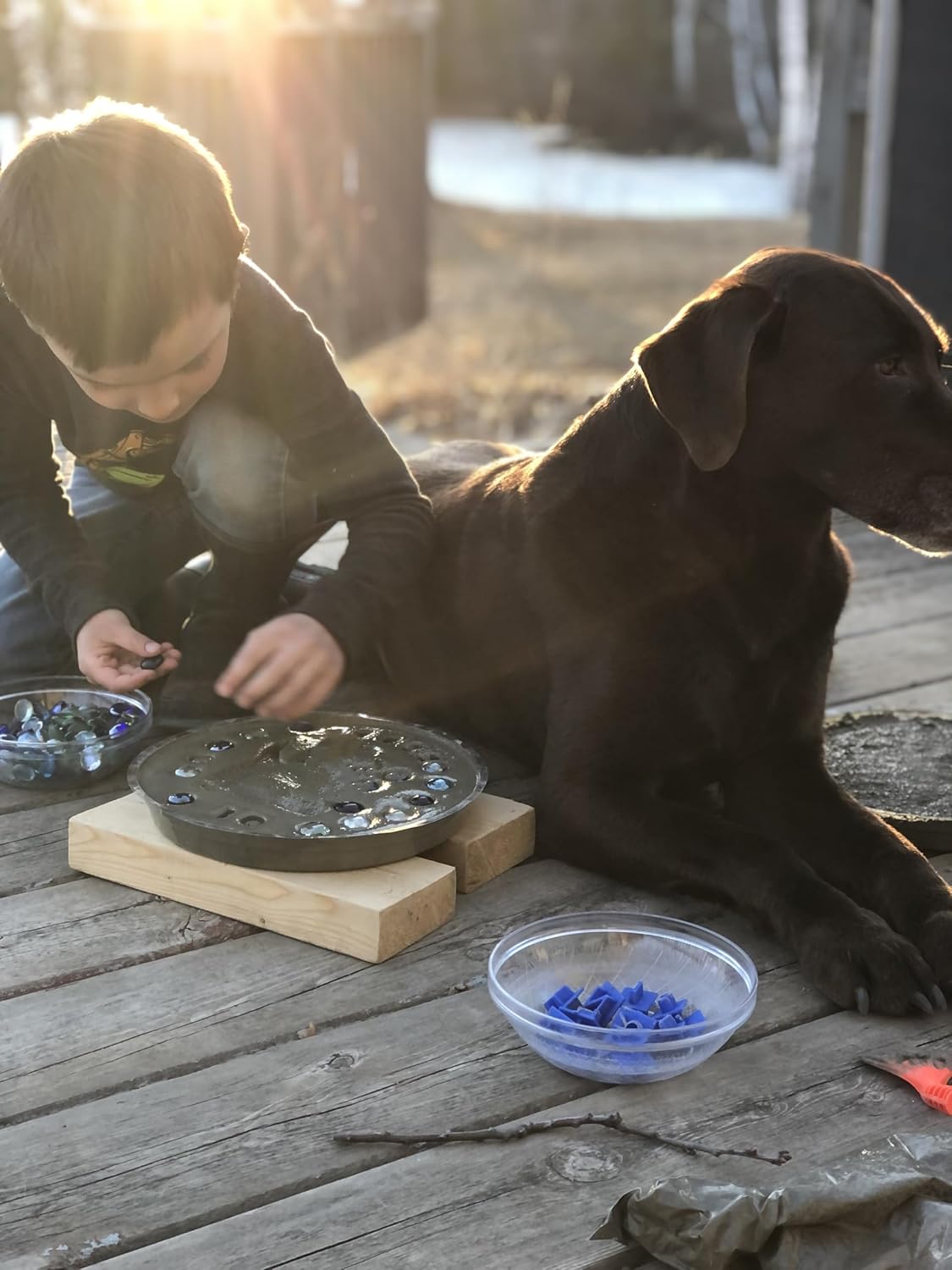 DIY Paw Print Stepping Stone Kit, Pet Memorial Stone, Pet Garden Stone (8 Inch + Stamp Set)