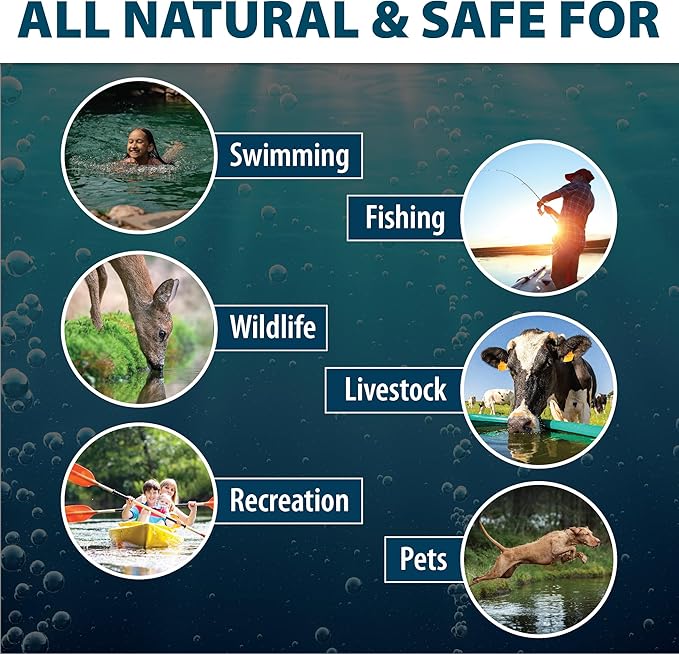 Airmax Black DyeMond Pond Dye Packets Natural Water Colorant for Ponds, Beneficial UV Blocking Color Concentrate, Fish, Bird & Animal Safe, 16 Packet