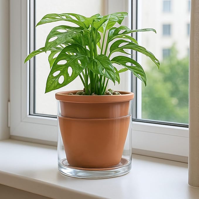 D'vine Dev 6 Inch Design Self Watering Pot for Indoor Plants, Terracotta Planter with Cylinder Glass Cup, Set of 2, 37-Y-B-1