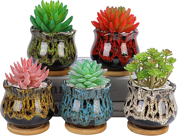 Cute Ceramic Succulent Garden Pots, Planter with Drainage and Attached Saucer, Set of 5 - Plants Not Included (Fambe)