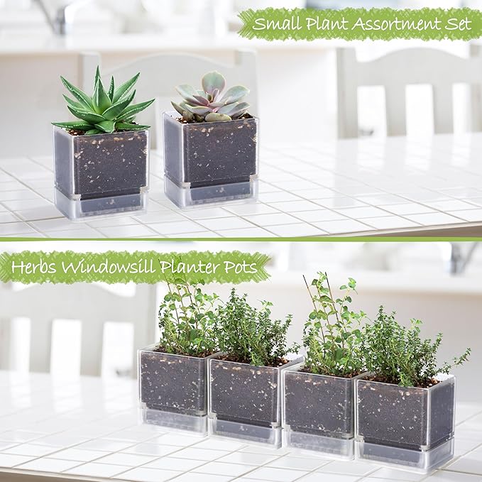 4 Inch Herb Planter Pot, Plastic Planter with Drainage Holes and Saucer, Modern Decorative Gardening Pot for Indoor Plants, Flowers, Herbs, Succulents, Clear, Set of 4, 76-Y-D-4