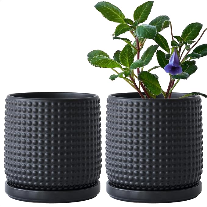 D'vine Dev Set of 2 Ceramic Plants Pots, 6 Inch Beaded Stoneware Flower Pot for Plants with Drainage Hole and Saucer, Ebony Matte, 27-E-X-6