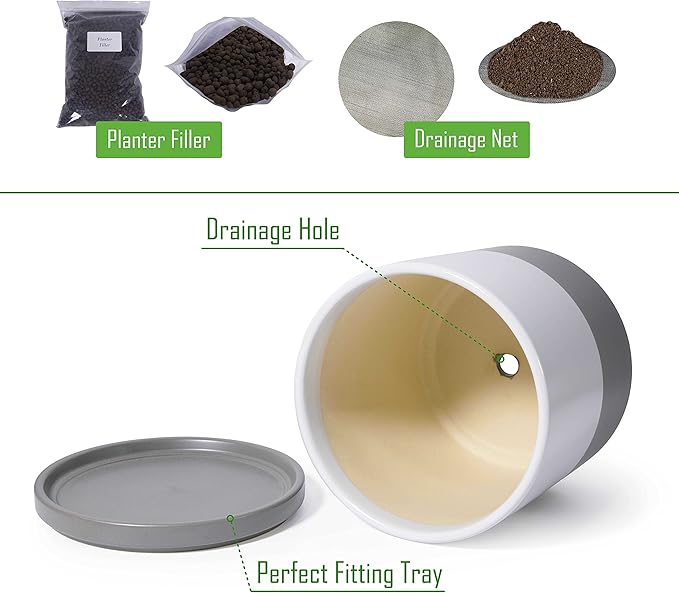 D'vine Dev 10 Inch Ceramic Planter Pot with Drainage Hole and Saucer, Indoor Cylinder Round Planter Pot, White/Speckled Grey, 94-O-E-6