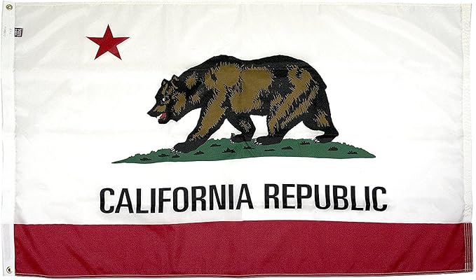 FlagSource California Nylon State Flag, Made in the USA, 3x5'