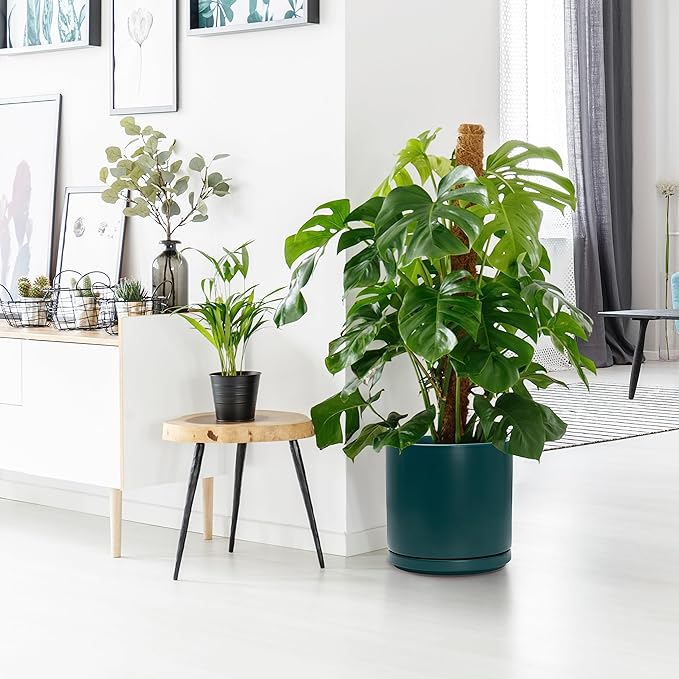 D'vine Dev Set of 2 Plants Pots, 10 Inch Ceramic Planter Pot for Plants with Drainage Hole and Saucer, Teal, 94-V-E-9