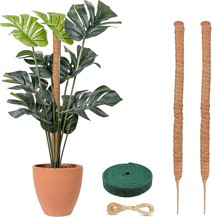 EcoNour Moss Pole for Plants – 48 inches 2 Pack | Monstera Plant Support for Plant Climbing and Growth | Elevate Your Indoor Garden, Plant Support for Indoor Potted Plants to Grow Upwards