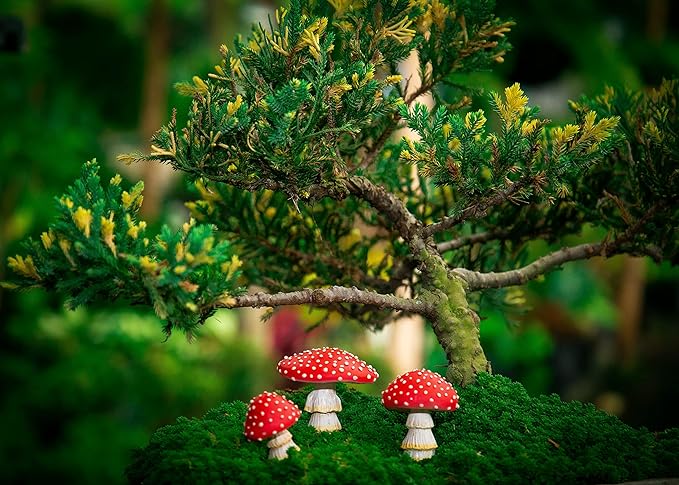 Fairy Garden Miniatures, Mini Mushroom Figurines, mushrooms decor, outdoor mushroom decor, fake mushrooms, mushroom statue, fairy garden decor, mushroom garden decor, mushroom outdoor decor