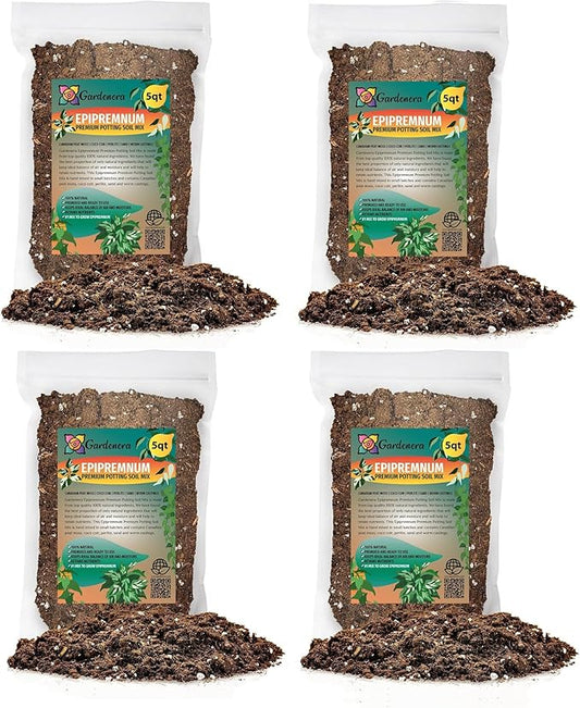 Epipremnum Potting Mix - Unlock Robust Growth and Gorgeous Foliage with Our High-Performance Formula - 20 Quart