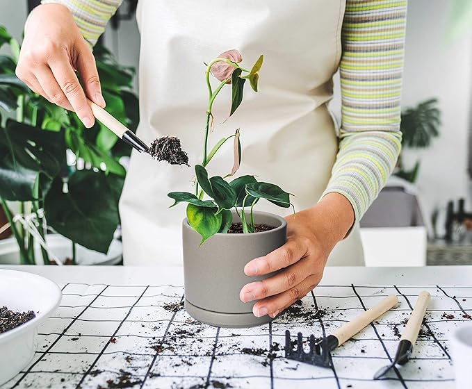 D'vine Dev Set of 2 Plants Pots, 4.6 Inch Ceramic Planter Pot for Plants with Drainage Hole and Saucer, Speckled Grey, 94-V-B-3