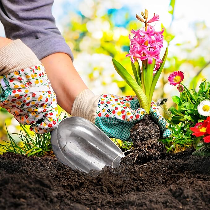 Phoenix Vine Set of 3 Heavy Duty Shovel | Planting and Gardening Hand Digging Tools, Multi-Function Trowel Spoons for Transplanting, Digging, Planting, 25-SL-3